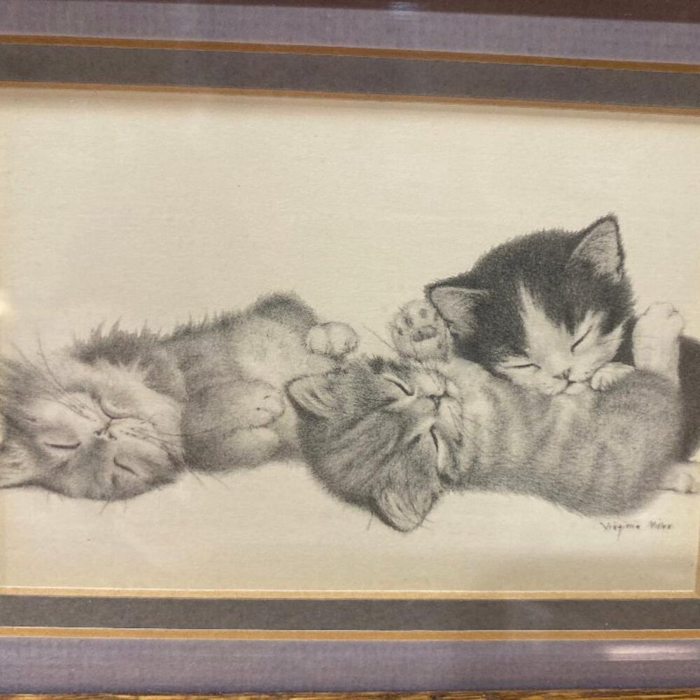 Oak Deep Framed Kittens Slumbering Print Matted Ready to Hang - Picture 2 of 3